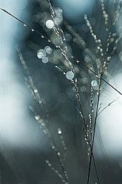 《英雄传说 黎之轨迹》中文体验版现上架港服PSN商城 存档可继承到正式版